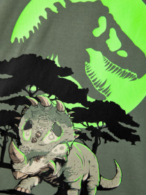 NAME IT Jurassic Park Bluse Pjank Laurel Wreath